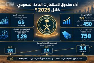 أداء صندوق الاستثمارات العامة السعودي